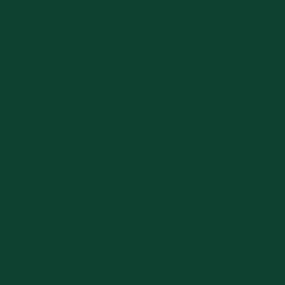 Verde muschio RAL 6005