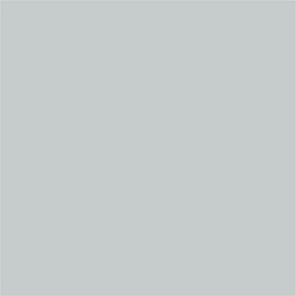 Alluminio brillante RAL 9006