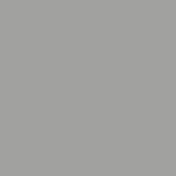 Alluminio brillante (RAL 9006)