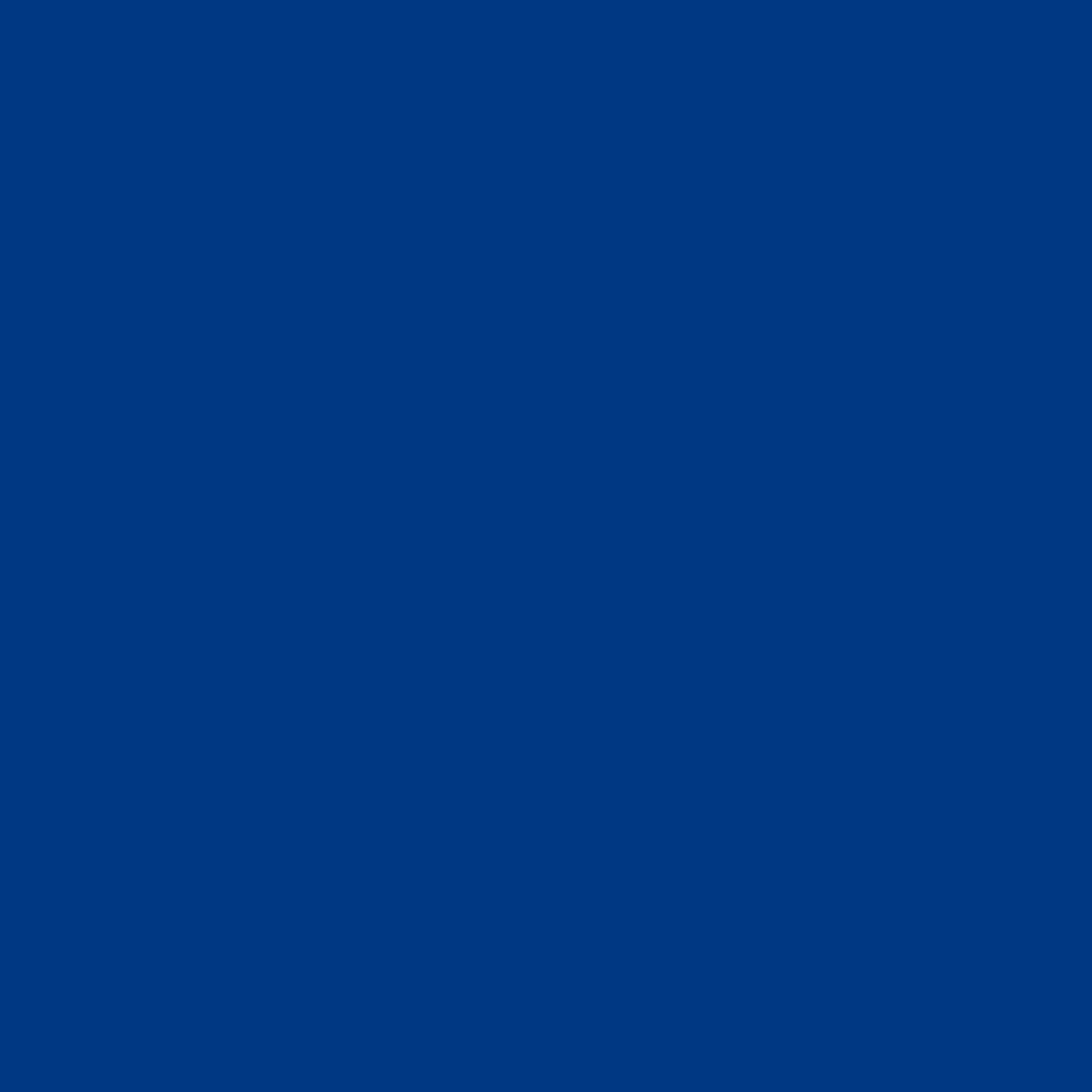 Blu oltremare RAL 5002