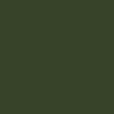 Verde oliva RAL 6003